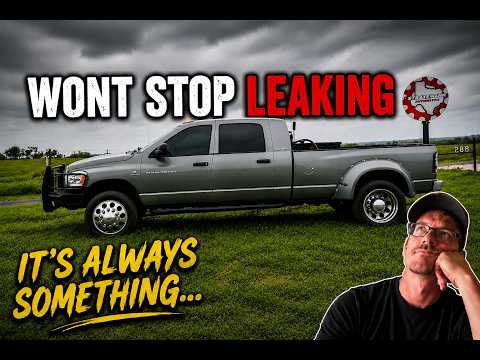 Mossman Automotive Specialist
