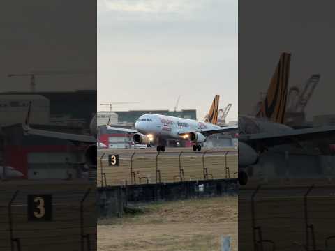 台灣虎航 A320ceo 降落（Rakuten Monkeys聯名彩繪二號機） ｜Tigerair Taiwan A320ceo Landing RCKH