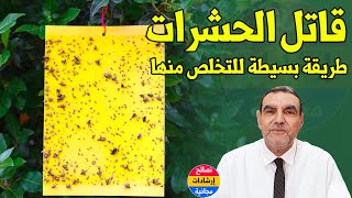 طريقة بسيطة ورخيصة تخلصك من مشكل البعوض والحشرات والقمل مع الدكتور محمد الفايد