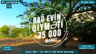 75 000 Manata Bağ Satilir Novxanida, Təci̇li̇ Недвижимость В Баку Ev Satiram Tv Bag Evleri