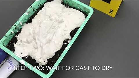 Forensics Impression Lab video