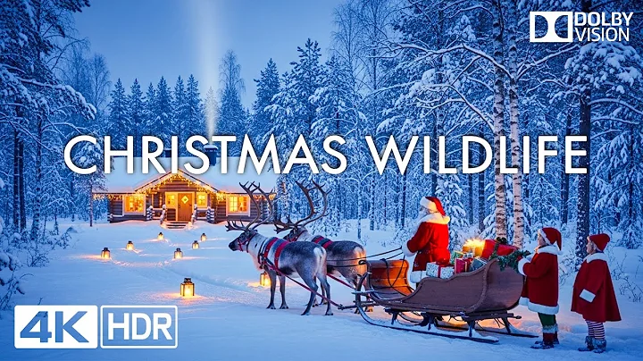 Christmas Wildlife 4K | The Secret Creatures of Snow-Covered Christmas Forests