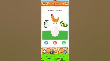 Braindom 2 level 33 who is lying? Fun brain Teaser Riddles walkthrough Solution