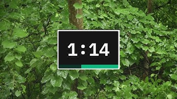 2-Minute Timer with Rain Sounds and Calming Music