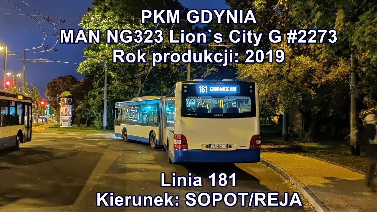 PKM Gdynia - Linia 181, MAN NG323 Lion's City G #2273