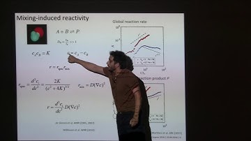 Joaquin Jimenez Martinez - Mixing and reactions in multiphase systems: insights from microfluidics