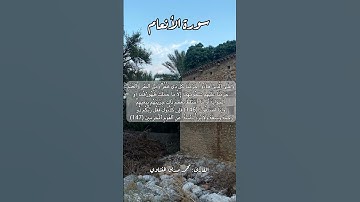 سورة الأنعام ١٤٦-١٤٧  #قرآن #قران #قرآن_كريم #اكسبلور #quran #قرأن #قران_كريم