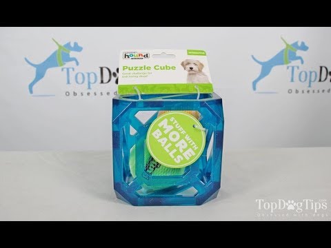 Arf Pets Memory Training Puzzle Dog Toy Review