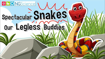 Spectacular Snakes – Our Legless Buddies
