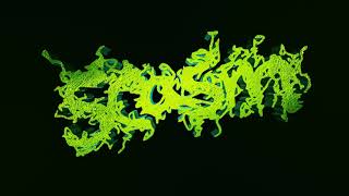 Scasm - Monkey Wheelchair Live At Bonks Bar