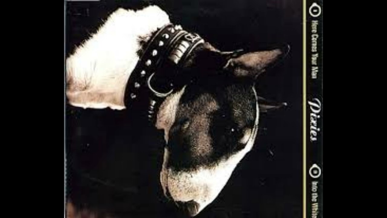 Pixies   Here comes your man  ZPLN MIX