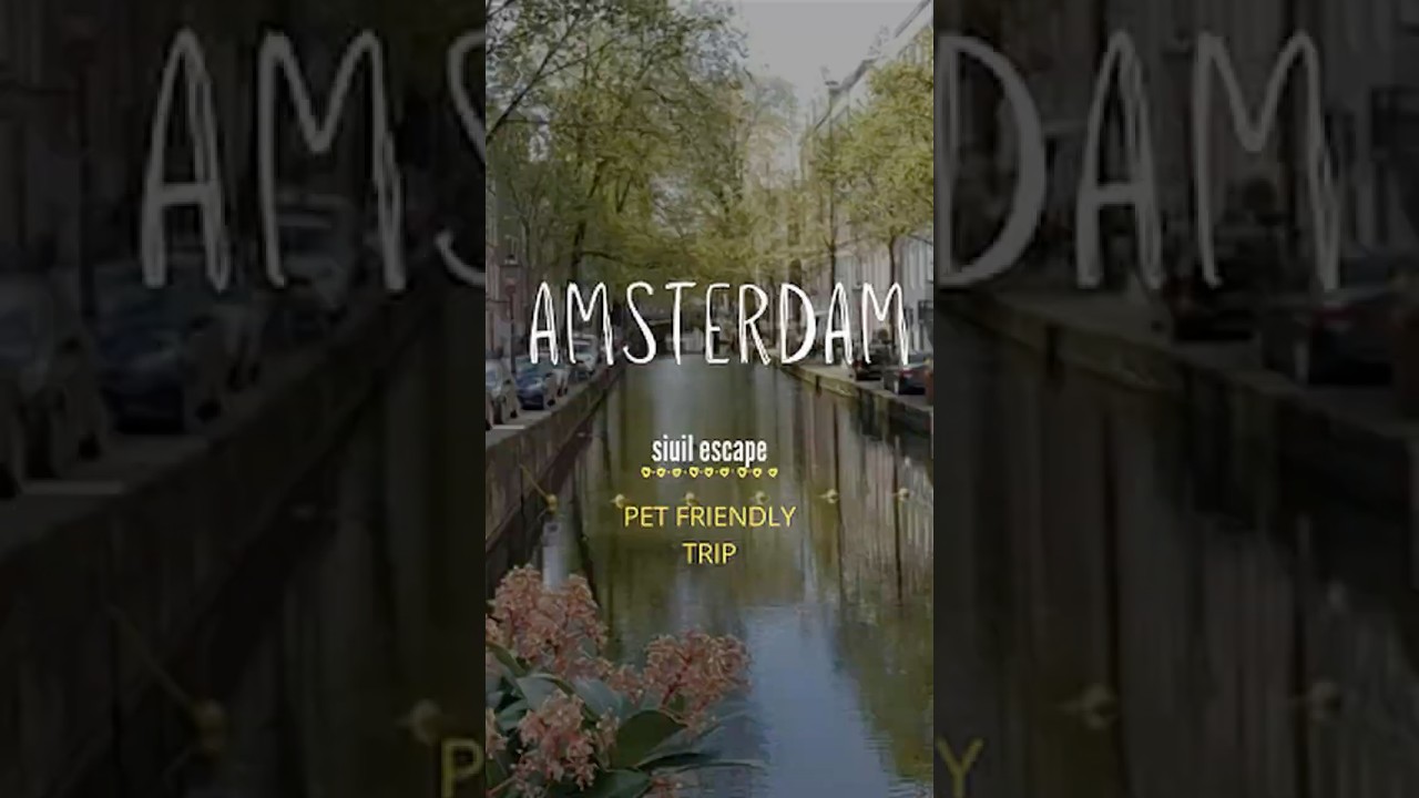Amsterdam Without Flying: The Pet-Friendly Route 🐾⛴️