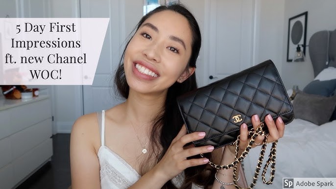 The Chanel Wallet On A Chain: My First Impressions – The Anna Edit