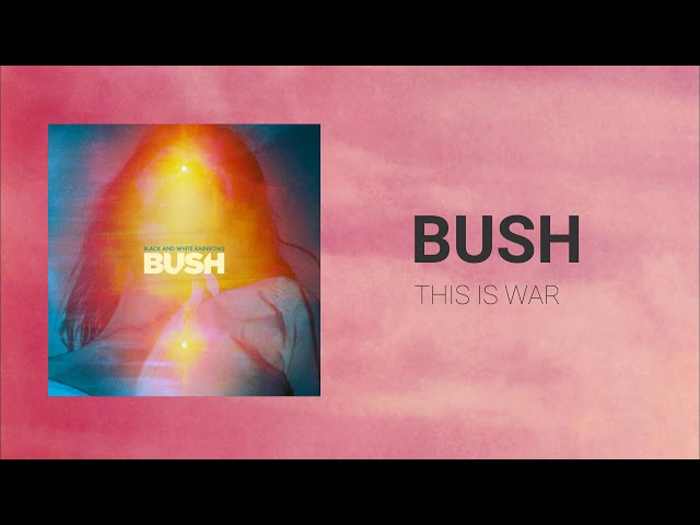 BUSH - THIS IS WAR