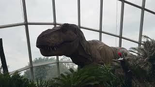 IMG 1207