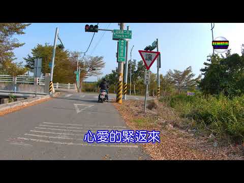 012 思慕的人 4K 風景 台語 Bb調 複音口琴 音樂 Harmonica  Music