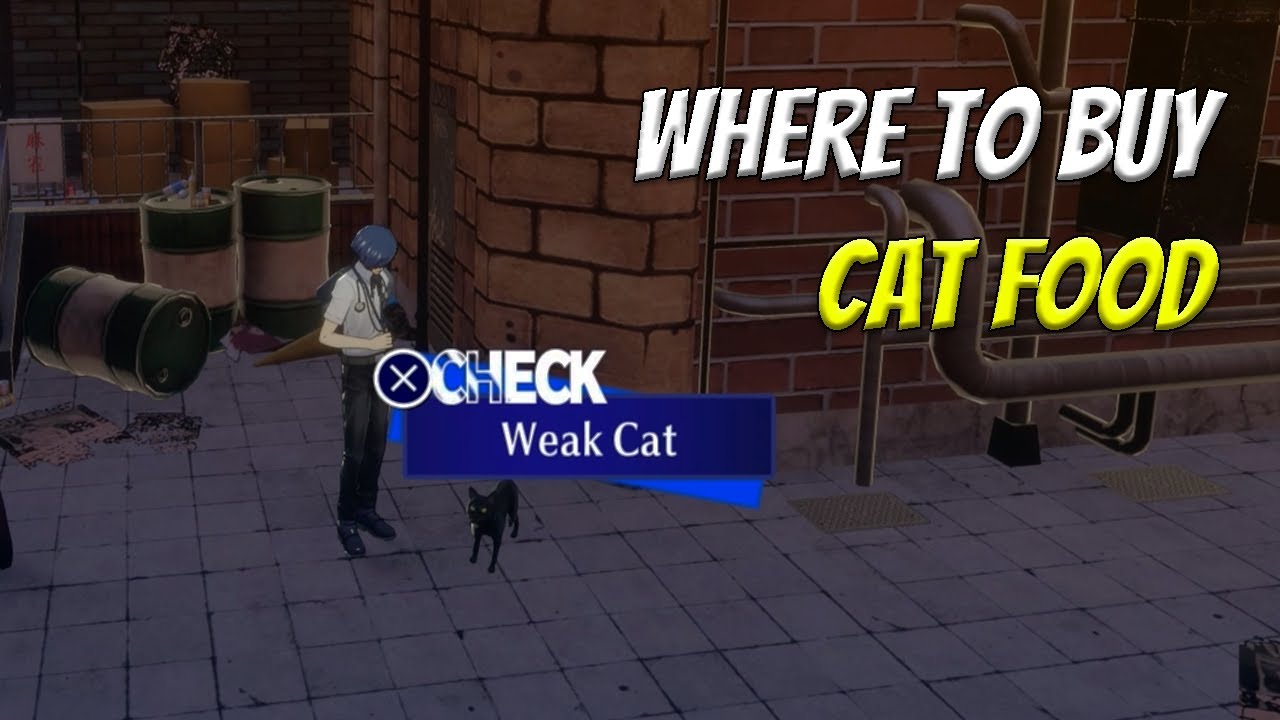 Where to buy Cat Food for Elizabeth Request 42 Persona 3 Reload