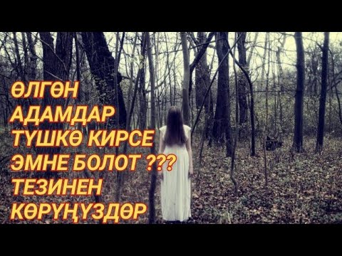 Video: Арбак курал