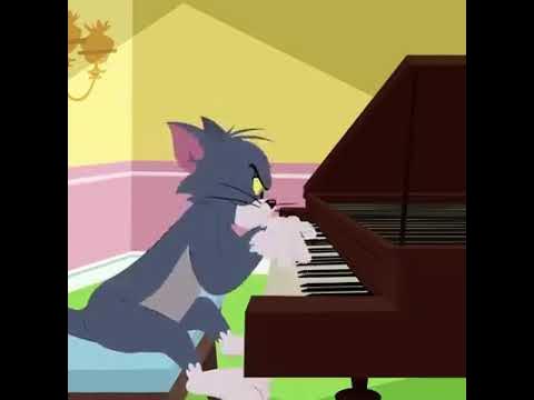 Tom and Jerry piano funny scenes - YouTube