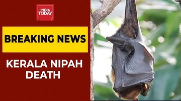 12-Year-Old Boy Dies Of Nipah Virus In Kerala