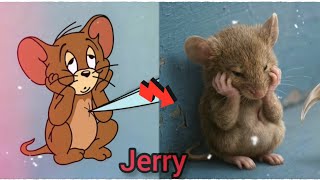 Tom and Jerry but real / tom and jerry in real life  screenshot 3
