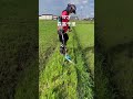 ポールヘッジトリマー(501)での、あぜ草刈り