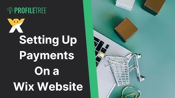Setting Up Payments On a Wix Website | Wix | Wix eCommerce | Wix Tutorial | Wix Website
