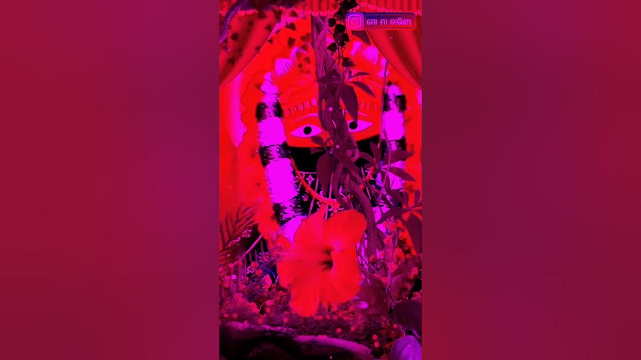 kebe panata ghodei dea odia maa tarini bhajan status full ultra hd 4k