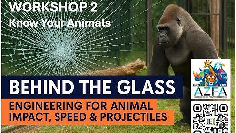 Engineering Zoo Enclosures: Balancing Safety, Cost, and Experience