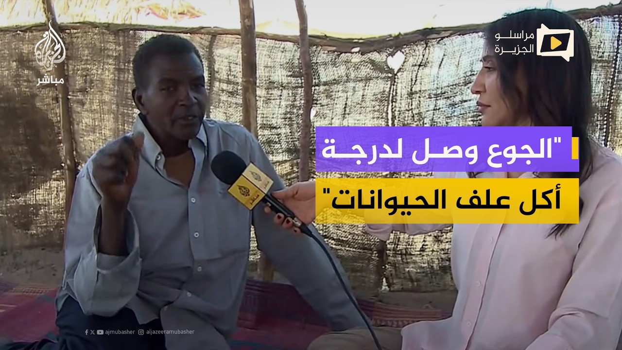 بعد نزوحه من الفاشر.. أستاذ جامعي يروي ما شهده يوم سقوط المدينة