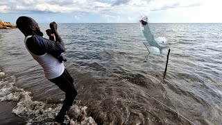 tarpon fishing catching big monster tarpon and this happen