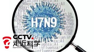 《走近科学》 阻击H7N9 20190819 | CCTV走近科学官方频道