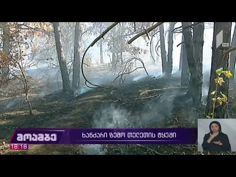 ზემო თელეთში ტყის მასივში ხანძარი გაჩნდა