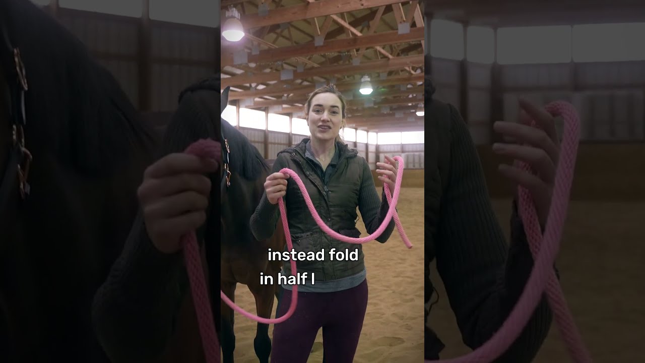 Safety Tip When Leading A Horse