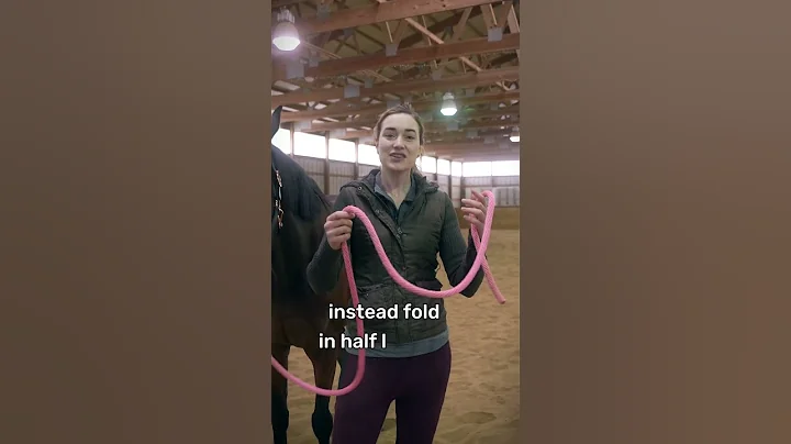 Safety Tip When Leading A Horse