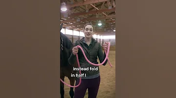 Safety Tip When Leading A Horse 
