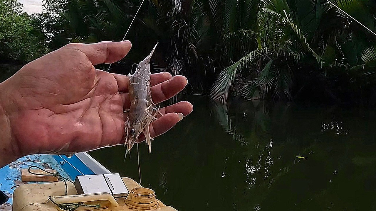 Super Beruntung !!! Umpan Hanya Sedikit Malah Dapat Banyak Kakap Besar