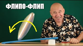 картинка: Флипо-Флип