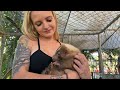 Animal Lovers Needed at Kowiachobee Animal Preserve in Naples, FL