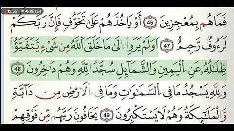 سورة النحل مكتوبة للشيخ القارئ ياسين الجزائري برواية ورش عن نافع