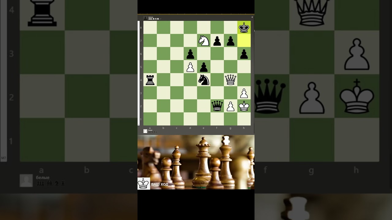 мат в 3 ходов
