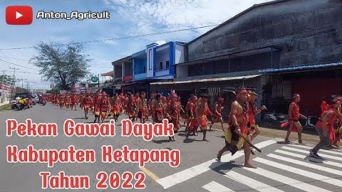 Gawai Adat Dayak Ketapang Tahun 2022 Berlangsung Ramai & Meriah #gawai #dayak #ketapangkalbar