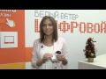 Samsung NX1000 - беззеркальный фотоаппарат в обзоре от Digital.ru