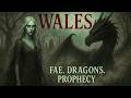Legends of the Welsh Otherworld: Ancient Fae, Dragons &amp; Forgotten Myths