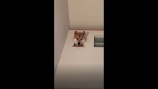 UNUSUAL MEMES COMPILATION V143 Best Memes Compilation