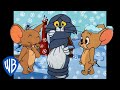 Tom und jerry auf deutsch   willkommen im winterwunderland   wb kids