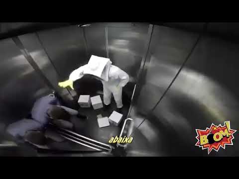 funniest-killer-bees-elevator-prank