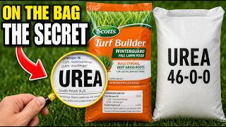 You're Paying 8x Too Much for Lawn Fertilizer — Here's Why