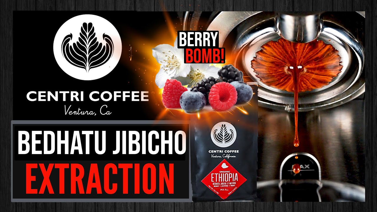 Berry Bomb! Centri Coffee's Ethiopia Bedhatu Jibicho Extraction