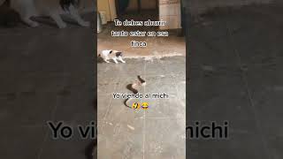 Yo Grite Hay La Culebra